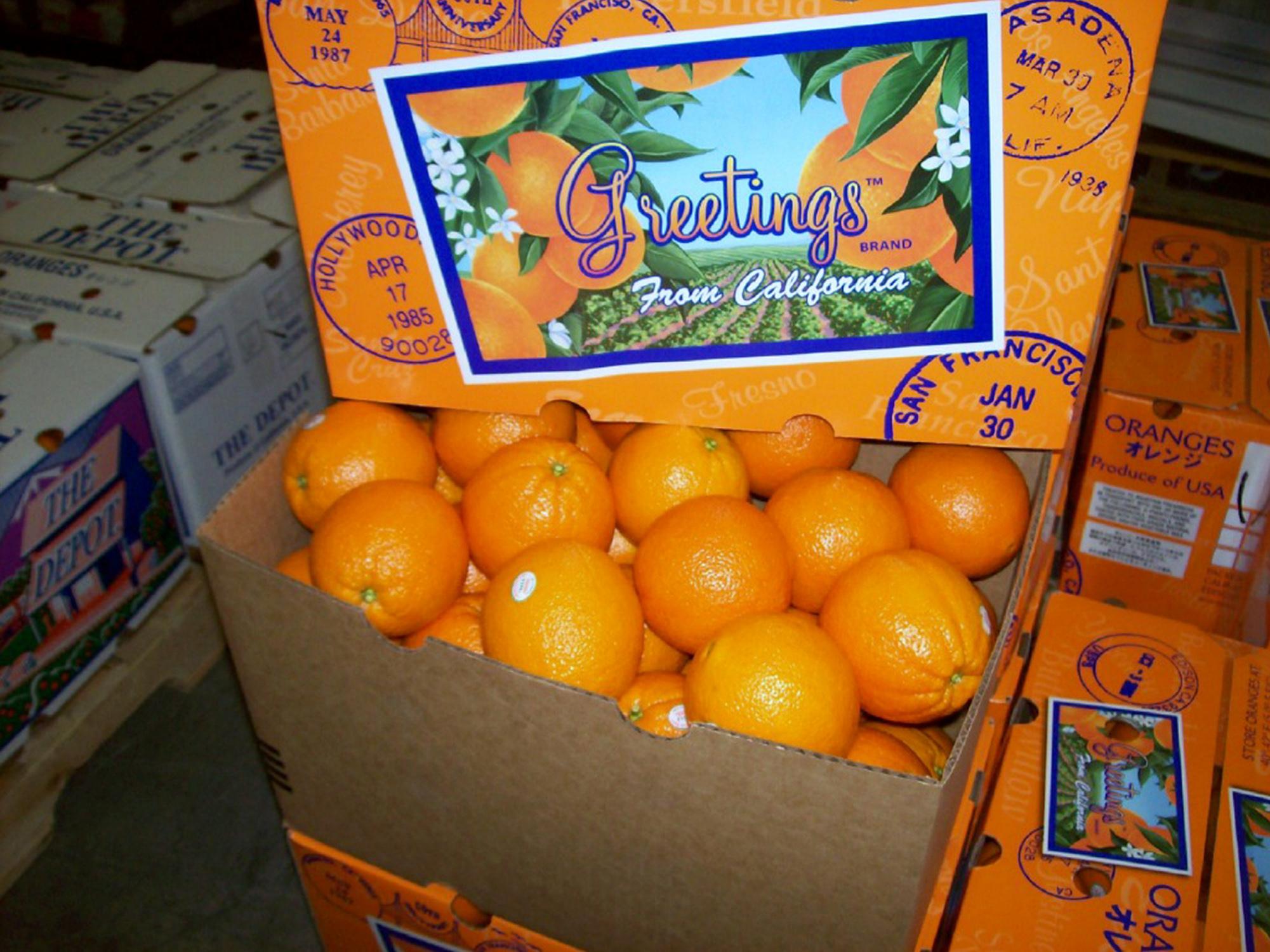 40 lb. Navel Oranges